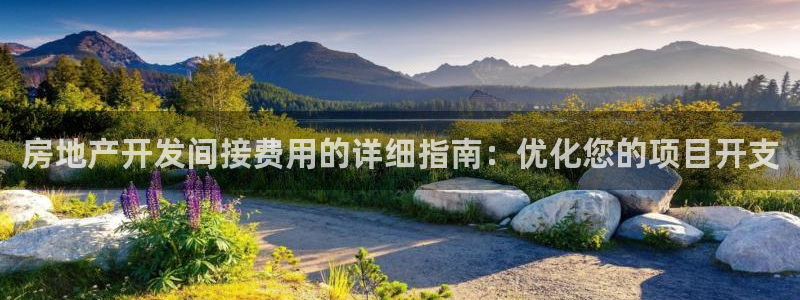 万向娱乐老板