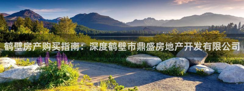 万向娱乐挂机软件