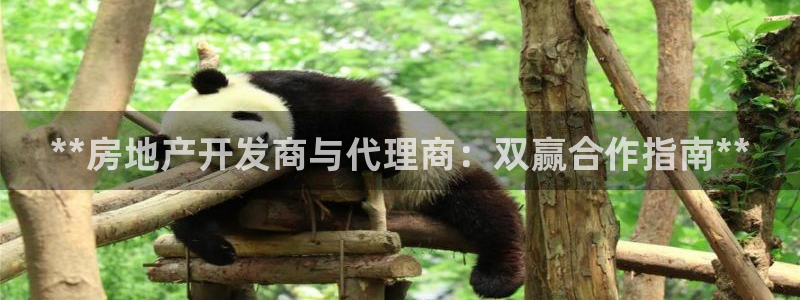万向娱乐挂机软件