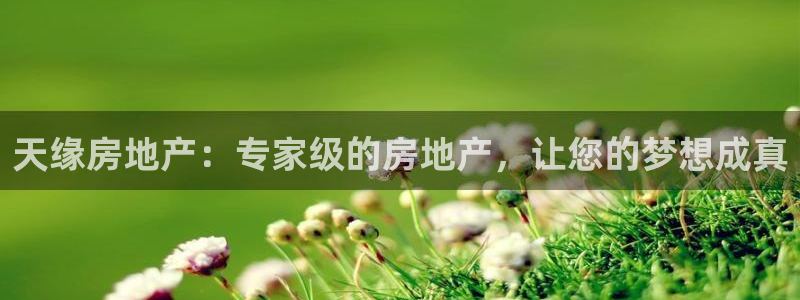 万向娱乐官网下载安卓