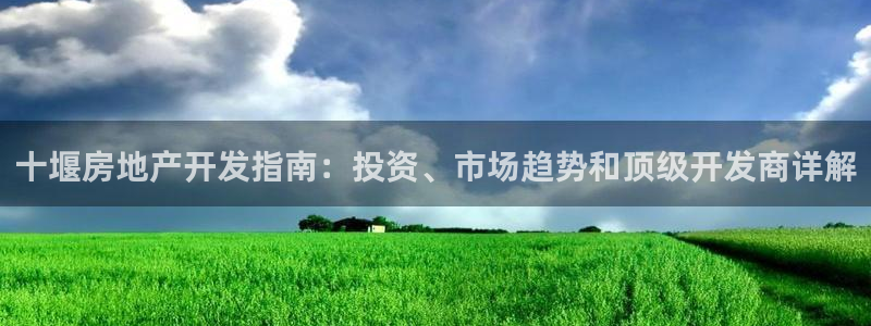 万向娱乐挂机