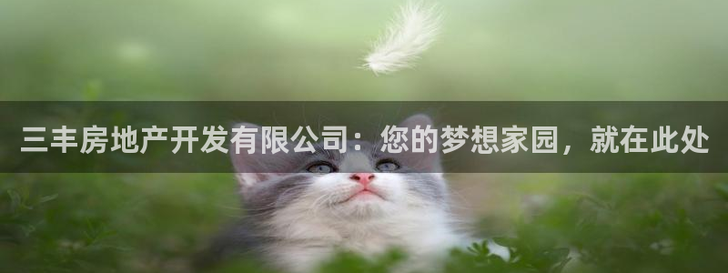 万向娱乐挂机