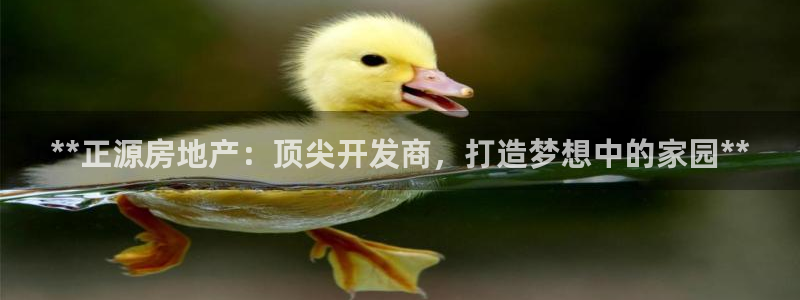 万向娱乐app