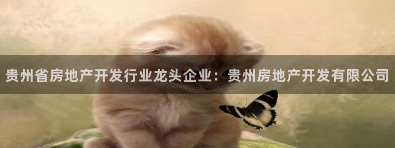 万向娱乐是哪个旗下