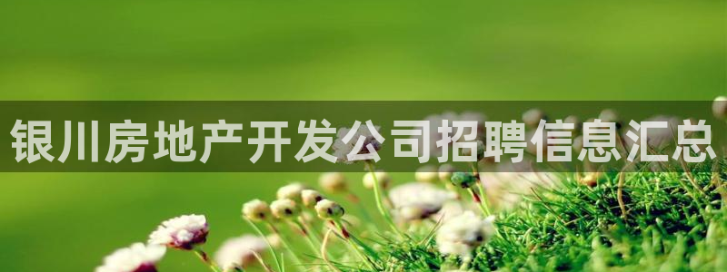万向娱乐灯333OO